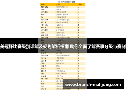 美冠杯比赛级别详解及规则解析指南 助你全面了解赛事分级与赛制