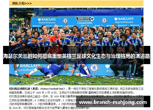 海瑟尔关悲剧如何彻底重塑英格兰足球文化生态与治理格局的演进路