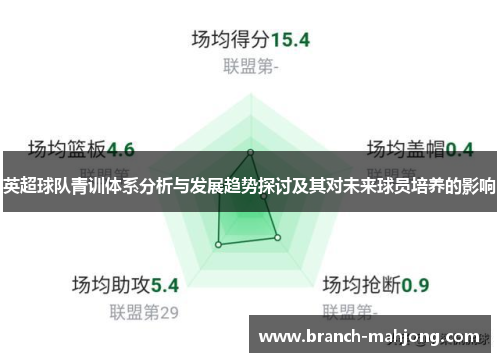 英超球队青训体系分析与发展趋势探讨及其对未来球员培养的影响
