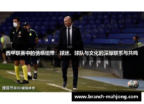 西甲联赛中的情感纽带：球迷、球队与文化的深厚联系与共鸣