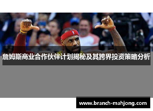 詹姆斯商业合作伙伴计划揭秘及其跨界投资策略分析